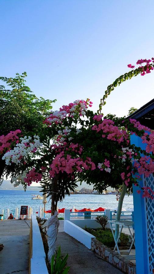 Mare Front Apartment