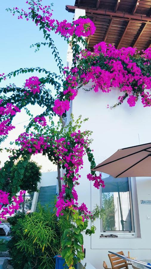 Mare Front Apartment *