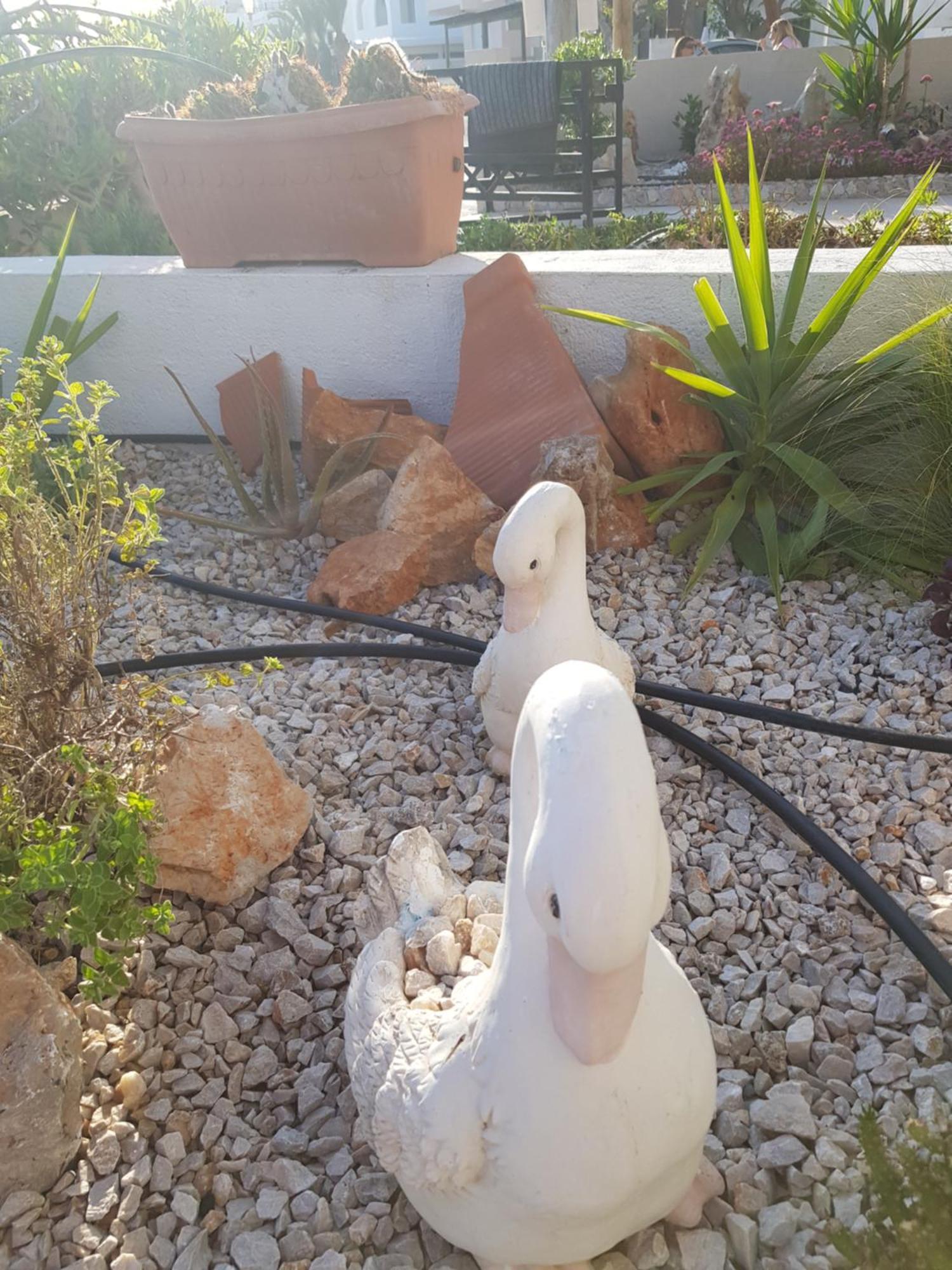Mare Front Apartment *